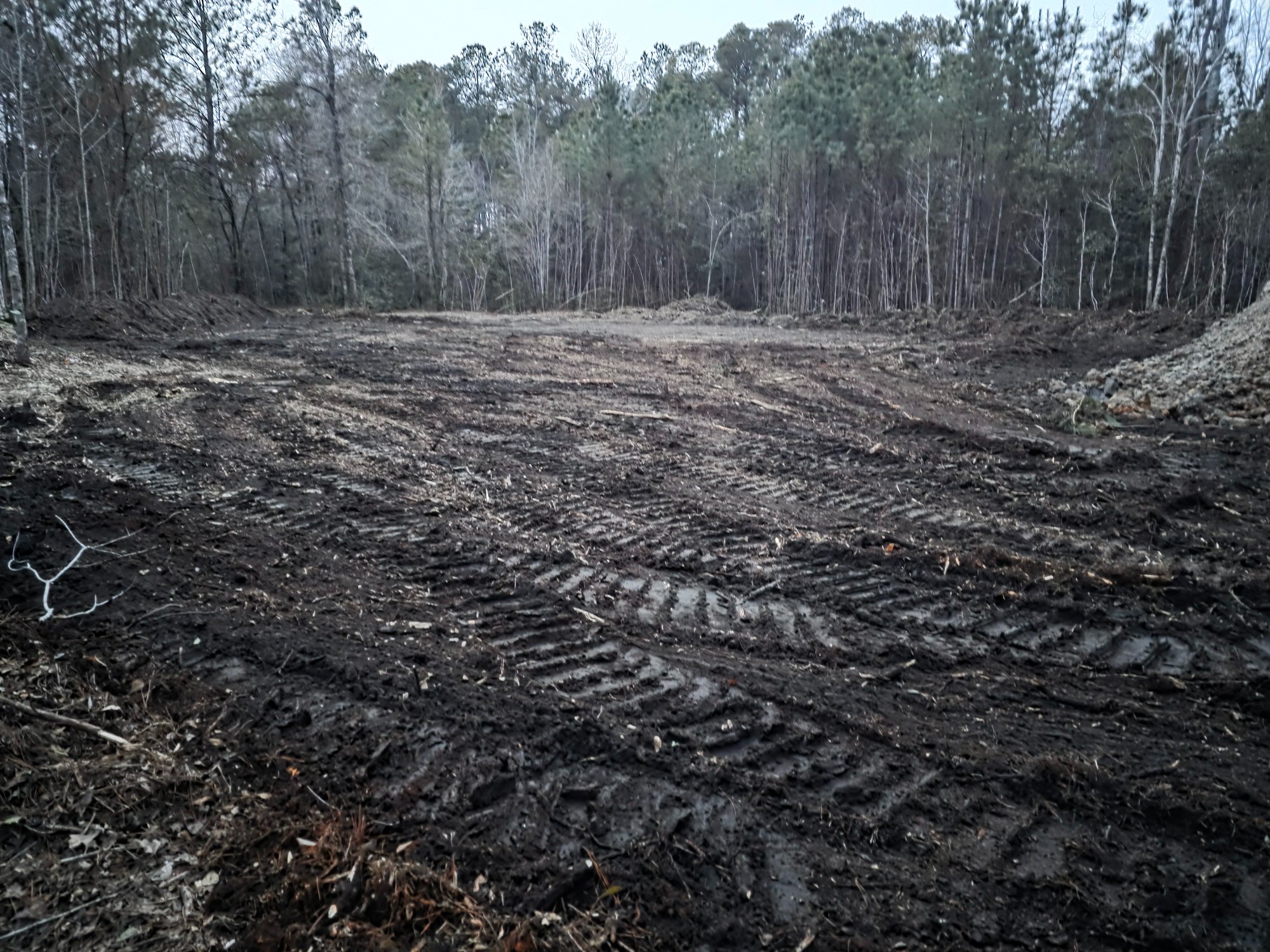 Land Clearing